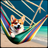 Corgi1