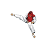 Taekwondo Korean Scriptures
