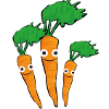 Carrot,Carrots,Family,Carrot Family,Vegetables