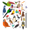 Birds of Colombia