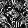 Zebra pattern pattern