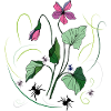 Fleur avec des fourmis