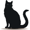 Playful Black Cat Silhouette