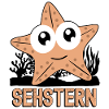 Seestern Sehstern Seesterne