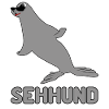 Robbe Sehhund Seerobbe Seelöwe