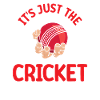 It's just the cricket ball
