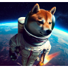 Shiba Inu in space