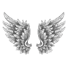 Angelwings wings angel white