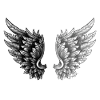 Angelwings YingYangAngel Wings