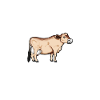 Jersey Daddy - Jersey Beef