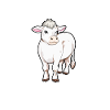 Charolais Mommy - Charolais beef