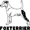 Foxterrier stehend mit Text