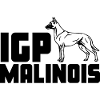 IGP / IPO Malinois
