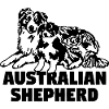 Australian Shepherd Generations