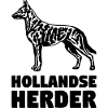 Hollandse Herder standing