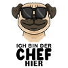 Cooler Hund Mops Chef Spruch