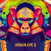 urban ape x 3