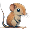 Elephant shrew