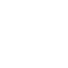 Boykin Spaniel Love