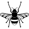 bee