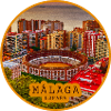 Malaga Bullring Panorama