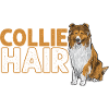 Longhair Collie Rough Collie Dog
