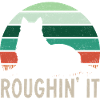 Longhair Collie Rough Collie Dog