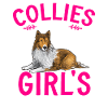 Longhair Collie Rough Collie Dog