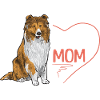Long-haired Collie Rough Collie Dog