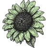 Retro Sunflower Illustration