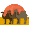 Camels