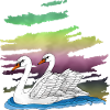 White birds