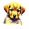 Hunde Hundeejere Hvalp Golden Retriever