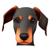 Dobermann Hund Dobermannwelpe Dobermanntrainer