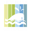 Orca Whale Gifts