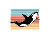 Orca Whale Gifts
