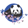 panda,pandabär,bunt,graffiti,kirschblüte