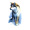 Leitwolf1