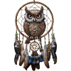 Eule Traumfänger Vogel Federn