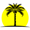 Palme Silhouette Insel