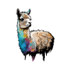 Alpaca Llama Rainbow Graffiti