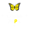 Futur papa