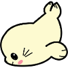 Otto the seal
