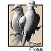 Feel Free / Bird Motif