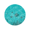 Fish under water