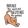 Positivity Cat