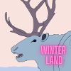 Winter Land
