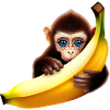 Monkey hide-and-seek banana