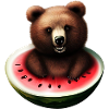 Ours dans une pastèque