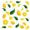 Lemons and Leaves Pattern